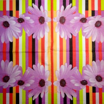 048 Daisies - 3-ply